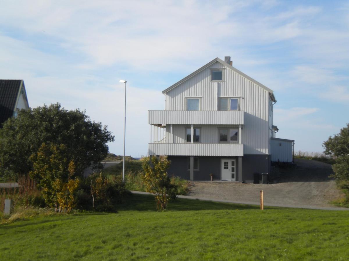 Apt 101 - Andenes Whale Safari Apartments Kültér fotó